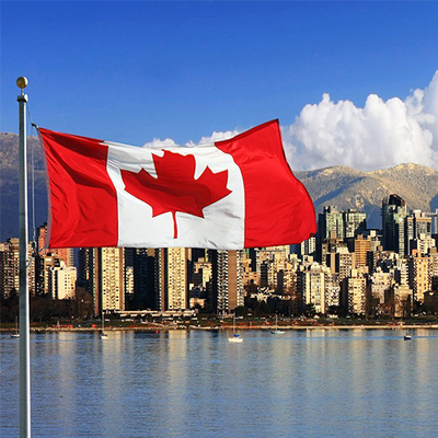 加拿大枫叶社项目